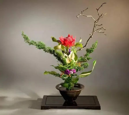 茶叶品牌插花艺术，美不胜收的茶香与花韵融合