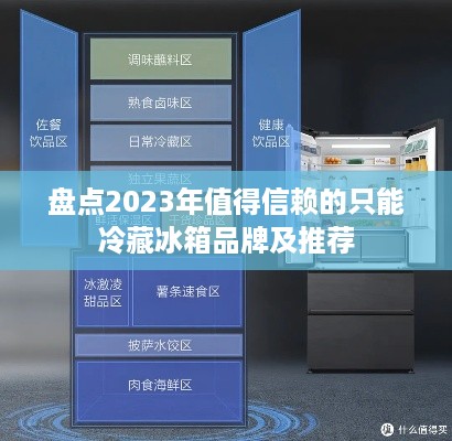 盘点2023年值得信赖的只能冷藏冰箱品牌及推荐