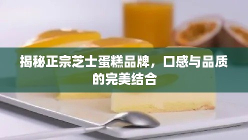 揭秘正宗芝士蛋糕品牌，口感与品质的完美结合