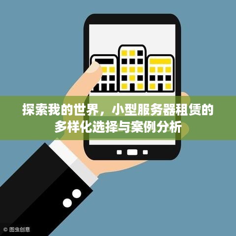 探索我的世界，小型服务器租赁的多样化选择与案例分析
