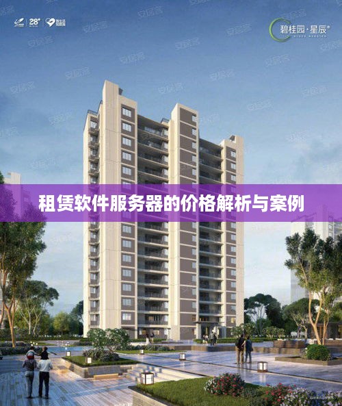 租赁软件服务器的价格解析与案例
