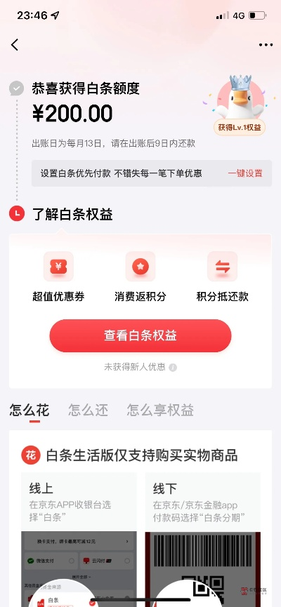 白条虚拟额度套取攻略