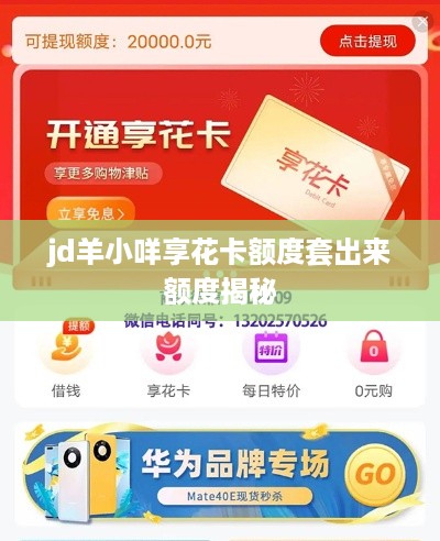 jd羊小咩享花卡额度套出来额度揭秘