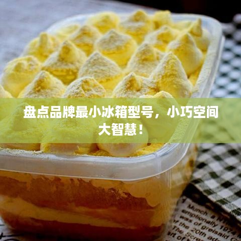 盘点品牌最小冰箱型号，小巧空间大智慧！