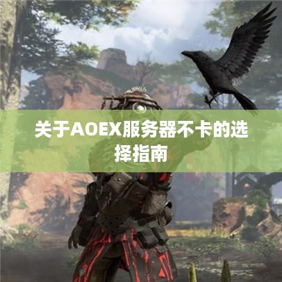 关于AOEX服务器不卡的选择指南