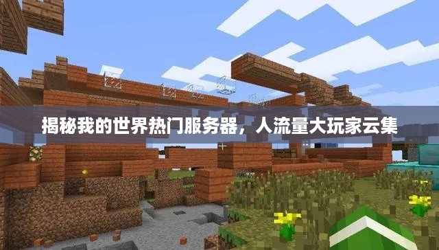 揭秘我的世界热门服务器，人流量大玩家云集