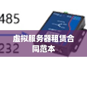 虚拟服务器租赁合同范本