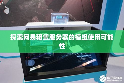 探索网易租赁服务器的模组使用可能性