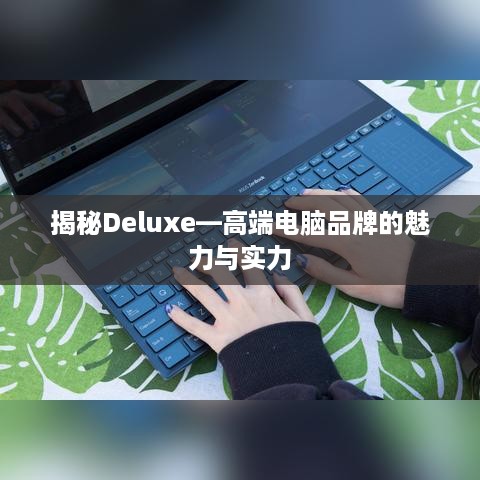 揭秘Deluxe—高端电脑品牌的魅力与实力