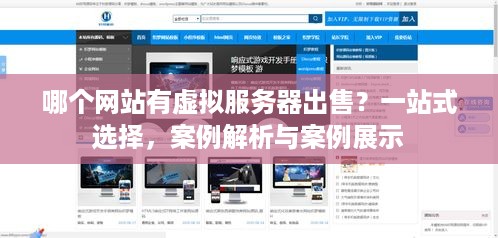 哪个网站有虚拟服务器出售？一站式选择，案例解析与案例展示