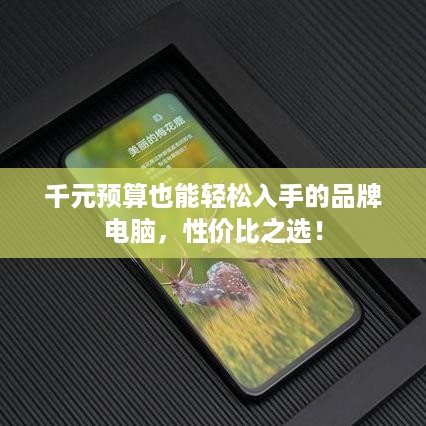 千元预算也能轻松入手的品牌电脑，性价比之选！