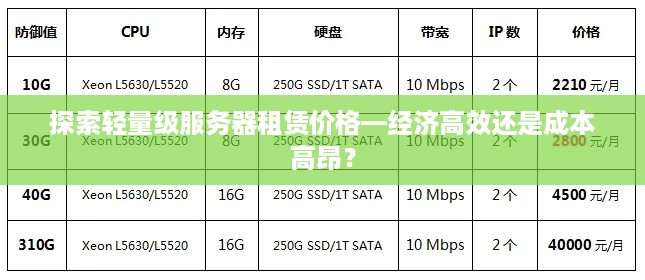 探索轻量级服务器租赁价格—经济高效还是成本高昂？