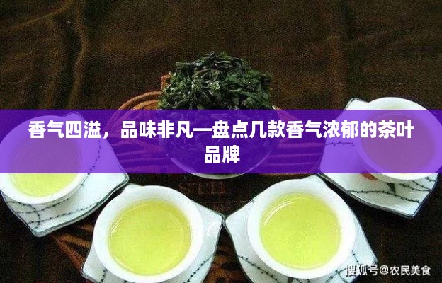 香气四溢，品味非凡—盘点几款香气浓郁的茶叶品牌