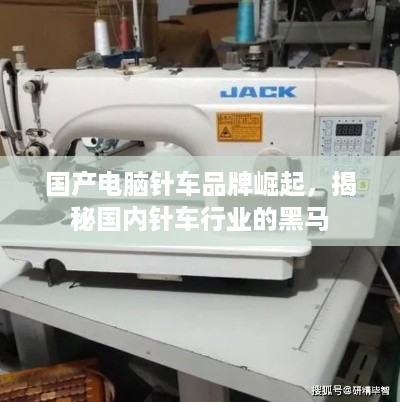 国产电脑针车品牌崛起，揭秘国内针车行业的黑马