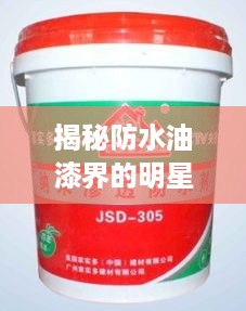 揭秘防水油漆界的明星品牌，如何守护您的家？