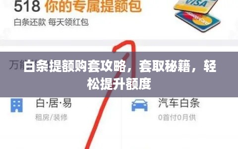白条提额购套攻略，套取秘籍，轻松提升额度
