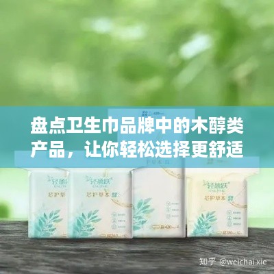 盘点卫生巾品牌中的木醇类产品，让你轻松选择更舒适的体验！