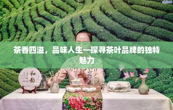 茶香四溢，品味人生—探寻茶叶品牌的独特魅力