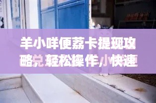 羊小咩便荔卡提现攻略，轻松操作，快速到账