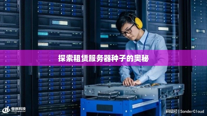 探索租赁服务器种子的奥秘