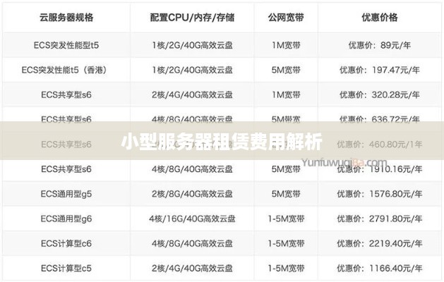 小型服务器租赁费用解析