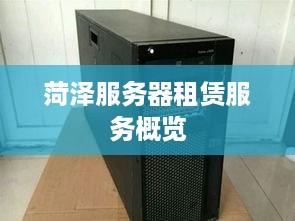 菏泽服务器租赁服务概览