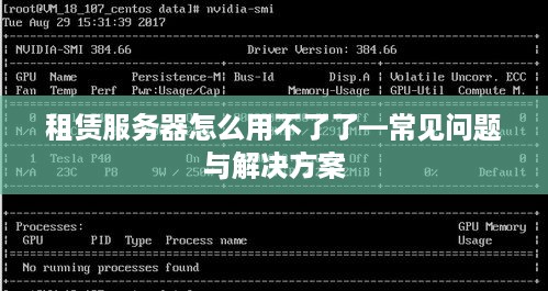 租赁服务器怎么用不了了—常见问题与解决方案