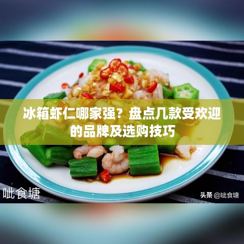 冰箱虾仁哪家强？盘点几款受欢迎的品牌及选购技巧