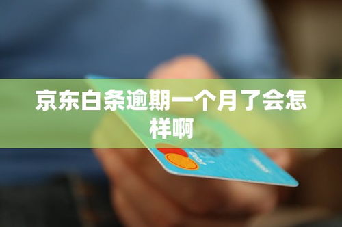 关于白条套取技巧，个人能否自行操作？