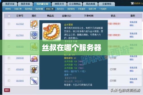 丝叔在哪个服务器