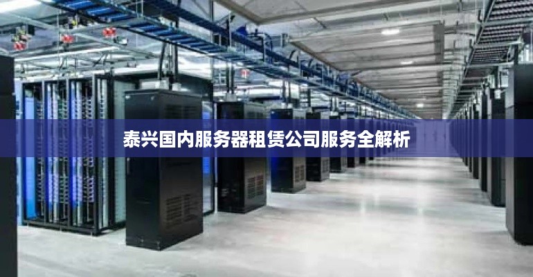 泰兴国内服务器租赁公司服务全解析