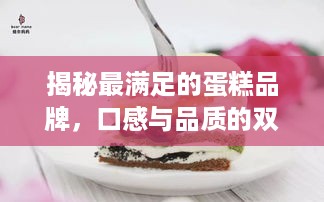 揭秘最满足的蛋糕品牌，口感与品质的双重享受
