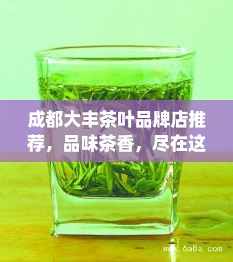 成都大丰茶叶品牌店推荐，品味茶香，尽在这一方水土
