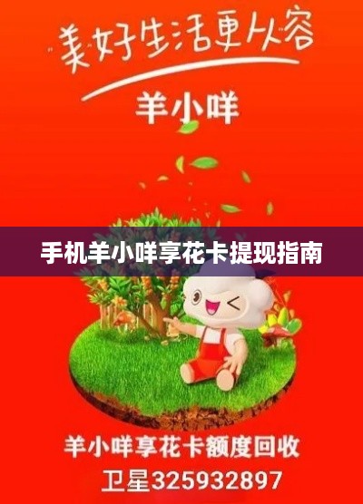 手机羊小咩享花卡提现指南