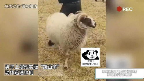 羊小咩便荔卡提现是否需要人脸识别？案例揭秘与真相探寻