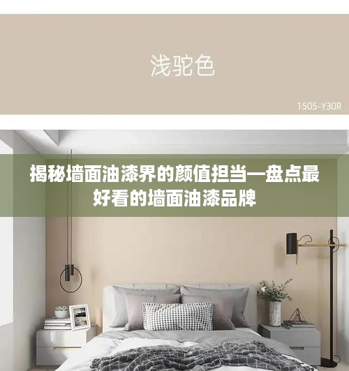揭秘墙面油漆界的颜值担当—盘点最好看的墙面油漆品牌