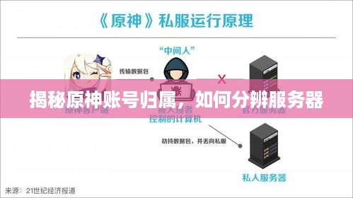 揭秘原神账号归属，如何分辨服务器