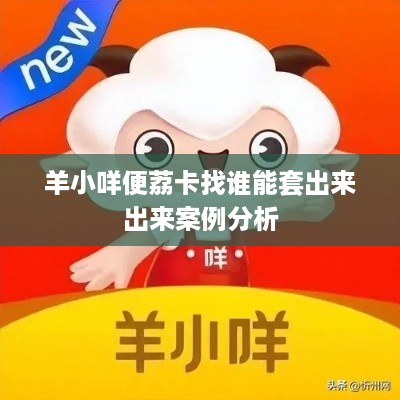 羊小咩便荔卡找谁能套出来出来案例分析
