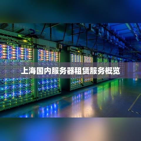 上海国内服务器租赁服务概览
