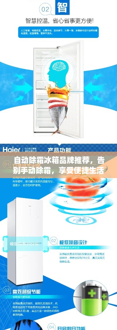 自动除霜冰箱品牌推荐，告别手动除霜，享受便捷生活