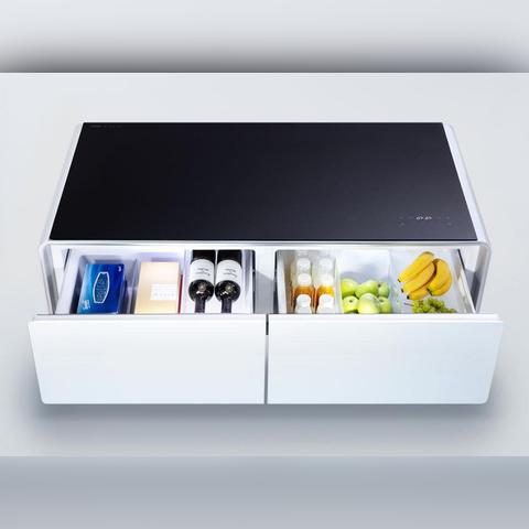 盘点国内外专业收纳冰箱品牌，让你的冷藏空间井井有条！