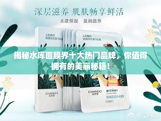 揭秘水库面膜界十大热门品牌，你值得拥有的美丽秘籍！