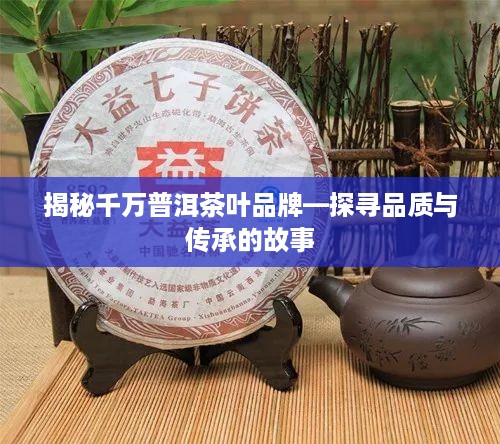 揭秘千万普洱茶叶品牌—探寻品质与传承的故事