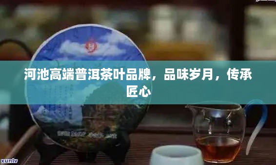 河池高端普洱茶叶品牌，品味岁月，传承匠心