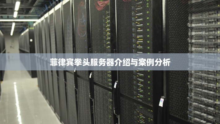 菲律宾拳头服务器介绍与案例分析