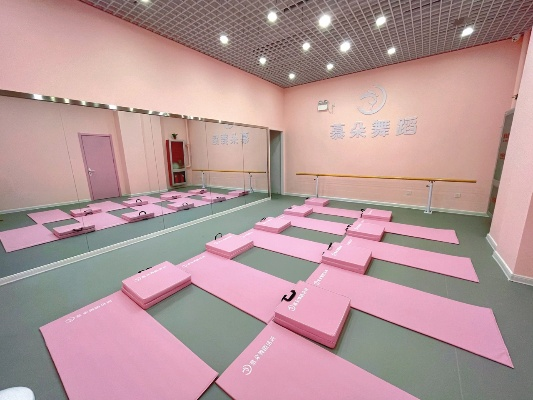 舞蹈地垫品牌大盘点，选对品牌，舞动更精彩！