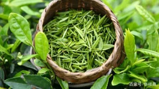 贵州茶叶品牌大盘点，品味山川灵韵，尽享茶香四溢
