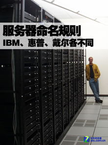 哪个服务器的物价最便宜？揭秘低价服务器的秘密花园