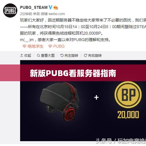 新版PUBG看服务器指南