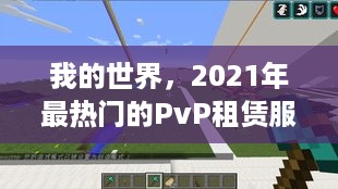 我的世界，2021年最热门的PvP租赁服务大起底！